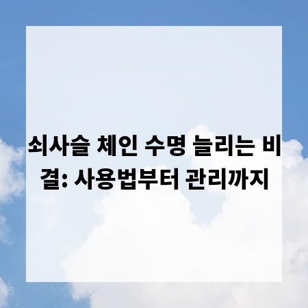 쇠사슬 체인 수명 늘리는 비결: 사용법부터 관리까지
