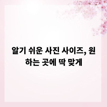 알기 쉬운 사진 사이즈, 원하는 곳에 딱 맞게