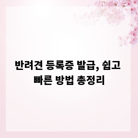 반려견 등록증 발급, 쉽고 빠른 방법 총정리