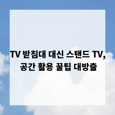 TV 받침대 대신 스탠드 TV, 공간 활용 꿀팁 대방출