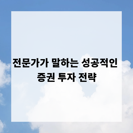 전문가가 말하는 성공적인 증권 투자 전략