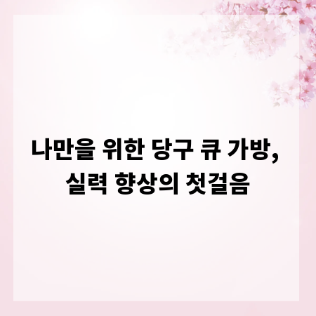 나만을 위한 당구 큐 가방, 실력 향상의 첫걸음