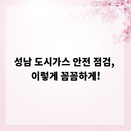 성남 도시가스 안전 점검, 이렇게 꼼꼼하게!