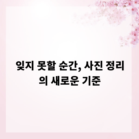잊지 못할 순간, 사진 정리의 새로운 기준