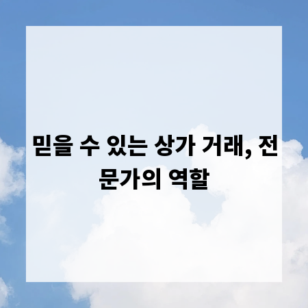 믿을 수 있는 상가 거래, 전문가의 역할
