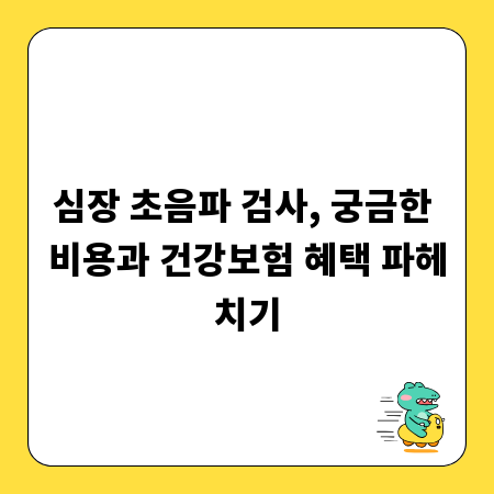 심장 초음파 검사, 궁금한 비용과 건강보험 혜택 파헤치기