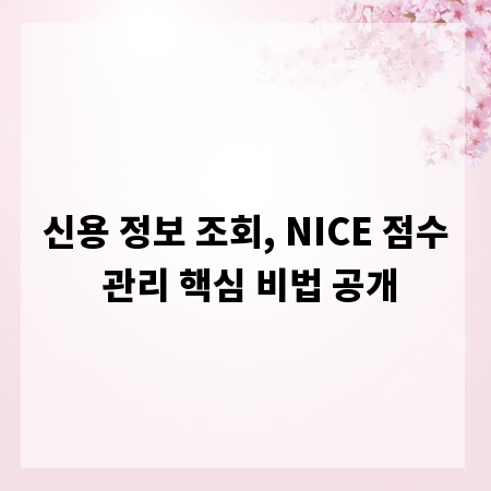 신용 정보 조회, NICE 점수 관리 핵심 비법 공개