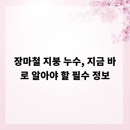 장마철 지붕 누수, 지금 바로 알아야 할 필수 정보