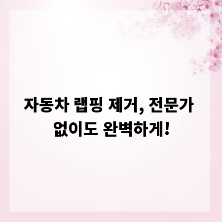 자동차 랩핑 제거, 전문가 없이도 완벽하게!