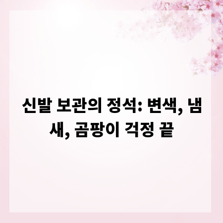 신발 보관의 정석: 변색, 냄새, 곰팡이 걱정 끝