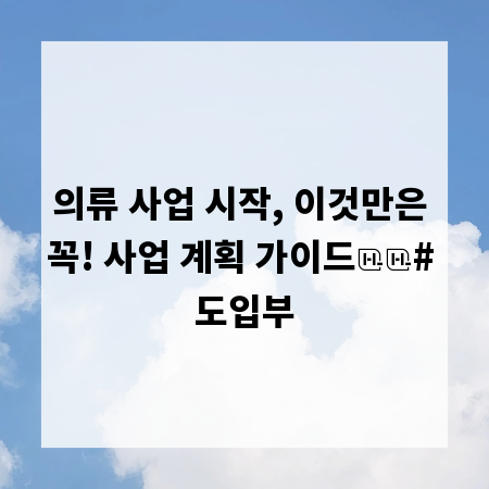 의류 사업 시작, 이것만은 꼭! 사업 계획 가이드

# 도입부