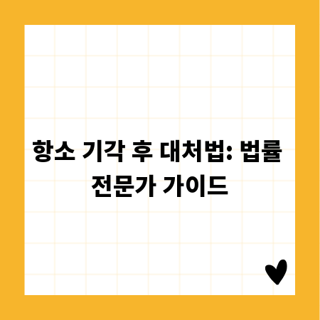 항소 기각 후 대처법: 법률 전문가 가이드
