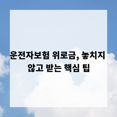 운전자보험 위로금, 놓치지 않고 받는 핵심 팁