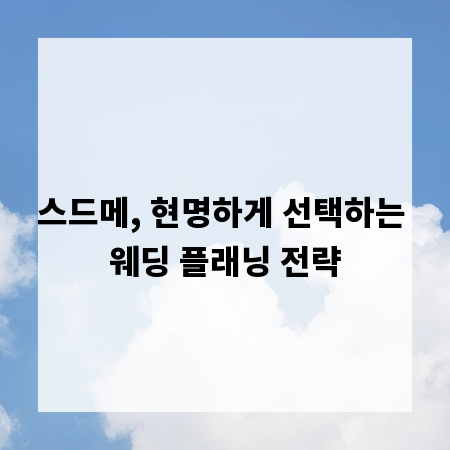 스드메, 현명하게 선택하는 웨딩 플래닝 전략