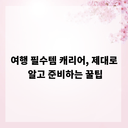 여행 필수템 캐리어, 제대로 알고 준비하는 꿀팁