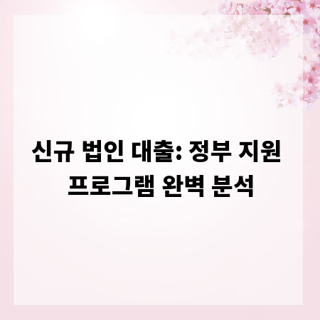 신규 법인 대출: 정부 지원 프로그램 완벽 분석