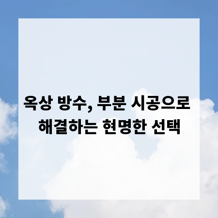 옥상 방수, 부분 시공으로 해결하는 현명한 선택