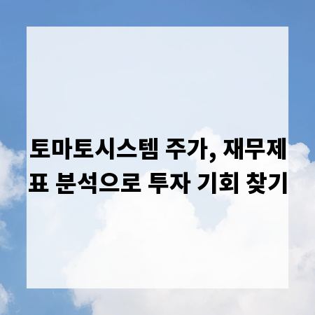 토마토시스템 주가, 재무제표 분석으로 투자 기회 찾기