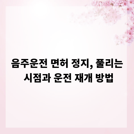 음주운전 면허 정지, 풀리는 시점과 운전 재개 방법