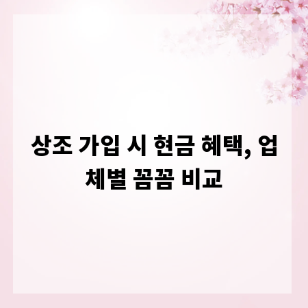 상조 가입 시 현금 혜택, 업체별 꼼꼼 비교