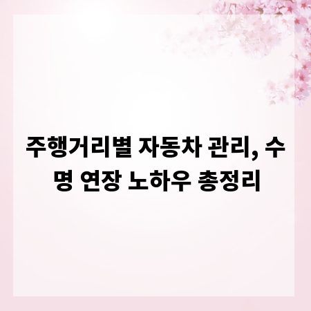 주행거리별 자동차 관리, 수명 연장 노하우 총정리