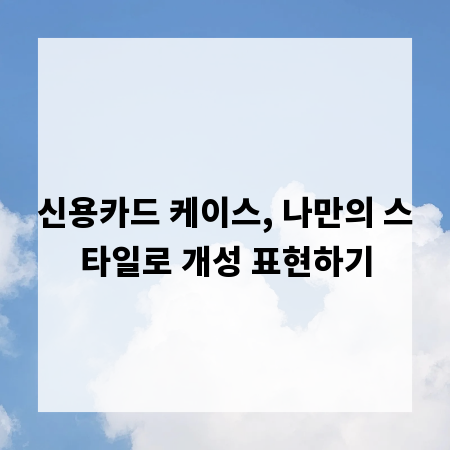 신용카드 케이스, 나만의 스타일로 개성 표현하기