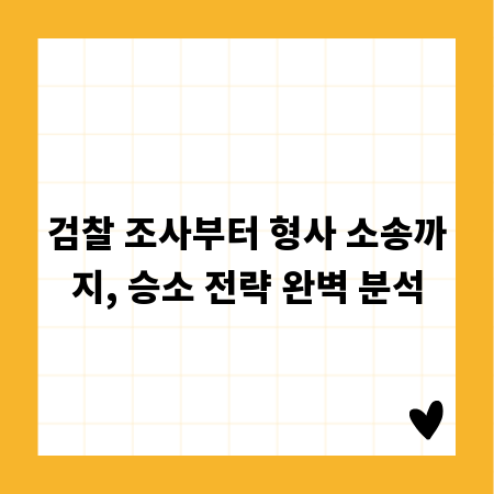 검찰 조사부터 형사 소송까지, 승소 전략 완벽 분석