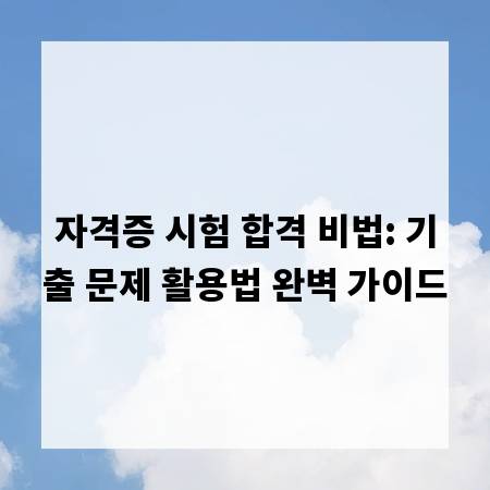 자격증 시험 합격 비법: 기출 문제 활용법 완벽 가이드