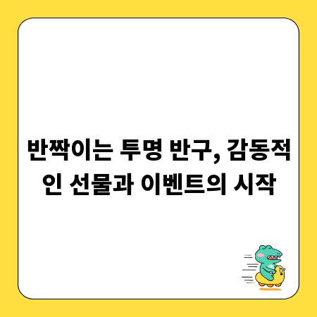 반짝이는 투명 반구, 감동적인 선물과 이벤트의 시작