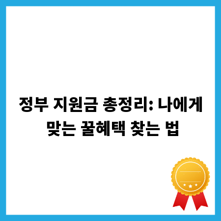 정부 지원금 총정리: 나에게 맞는 꿀혜택 찾는 법