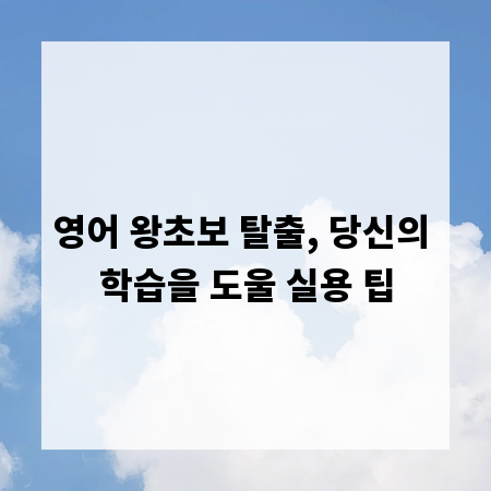 영어 왕초보 탈출, 당신의 학습을 도울 실용 팁