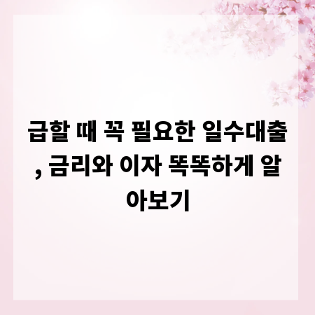 급할 때 꼭 필요한 일수대출, 금리와 이자 똑똑하게 알아보기