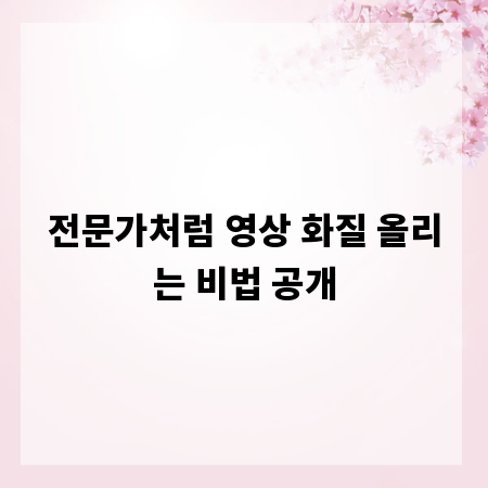 전문가처럼 영상 화질 올리는 비법 공개