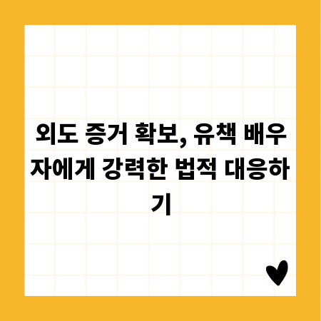 외도 증거 확보, 유책 배우자에게 강력한 법적 대응하기