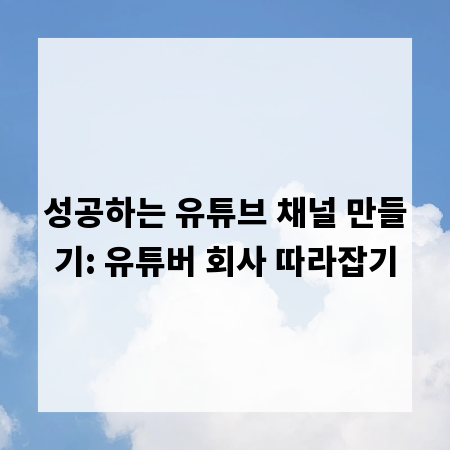 성공하는 유튜브 채널 만들기: 유튜버 회사 따라잡기