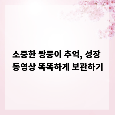 소중한 쌍둥이 추억, 성장 동영상 똑똑하게 보관하기