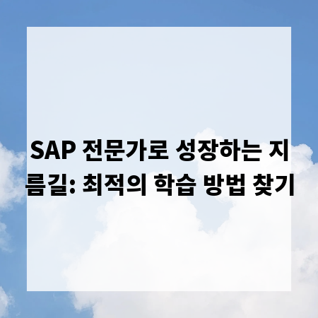 SAP 전문가로 성장하는 지름길: 최적의 학습 방법 찾기
