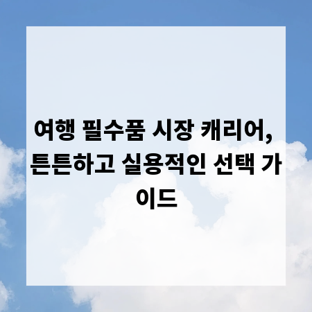여행 필수품 시장 캐리어, 튼튼하고 실용적인 선택 가이드