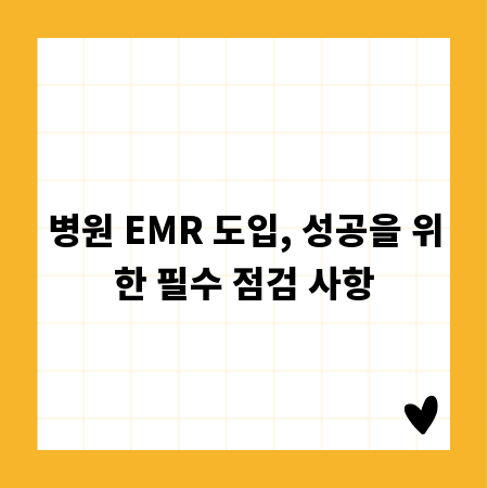 병원 EMR 도입, 성공을 위한 필수 점검 사항