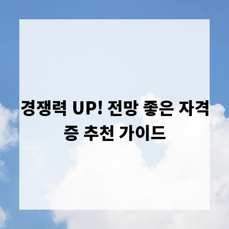 경쟁력 UP! 전망 좋은 자격증 추천 가이드