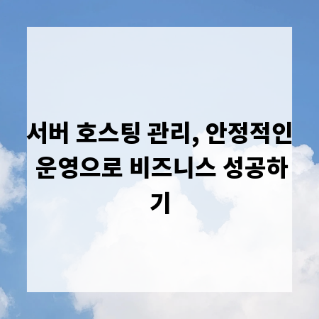 서버 호스팅 관리, 안정적인 운영으로 비즈니스 성공하기