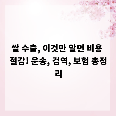 쌀 수출, 이것만 알면 비용 절감! 운송, 검역, 보험 총정리