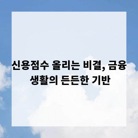 신용점수 올리는 비결, 금융 생활의 든든한 기반