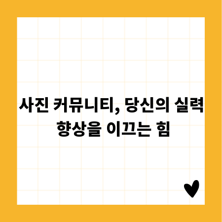 사진 커뮤니티, 당신의 실력 향상을 이끄는 힘