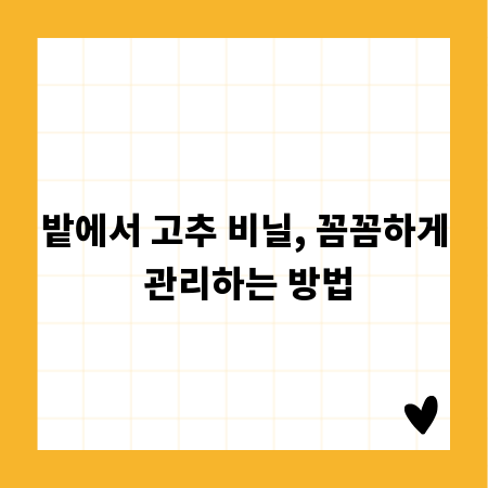 밭에서 고추 비닐, 꼼꼼하게 관리하는 방법