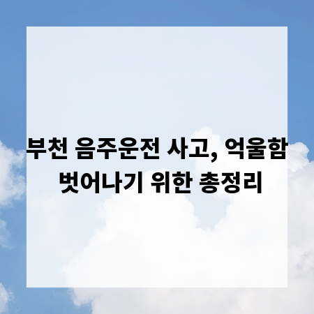 부천 음주운전 사고, 억울함 벗어나기 위한 총정리