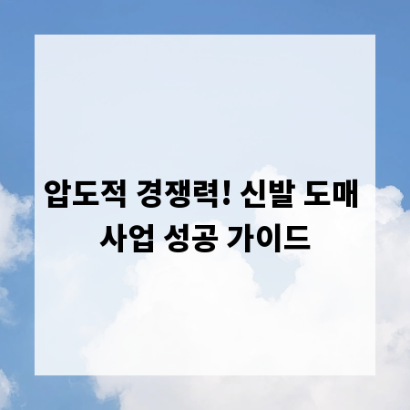 압도적 경쟁력! 신발 도매 사업 성공 가이드