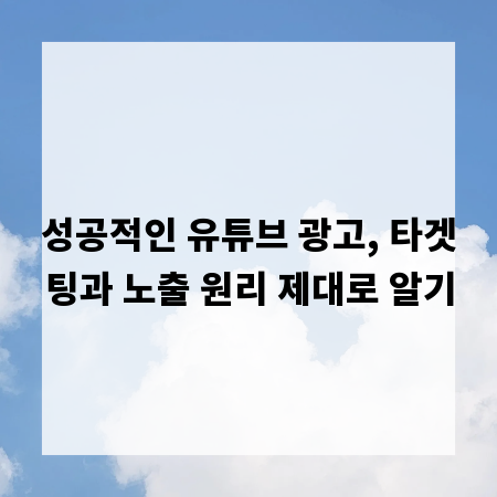 성공적인 유튜브 광고, 타겟팅과 노출 원리 제대로 알기