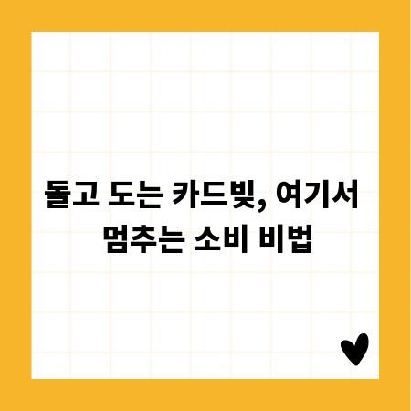 돌고 도는 카드빚, 여기서 멈추는 소비 비법