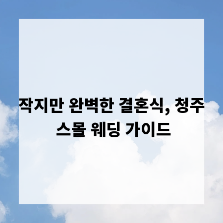 작지만 완벽한 결혼식, 청주 스몰 웨딩 가이드